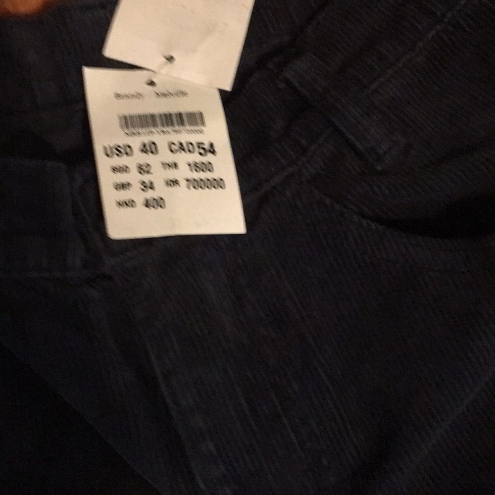Brandy Melville Molly Corduroy Pants in Navy - Picture 6 of 6